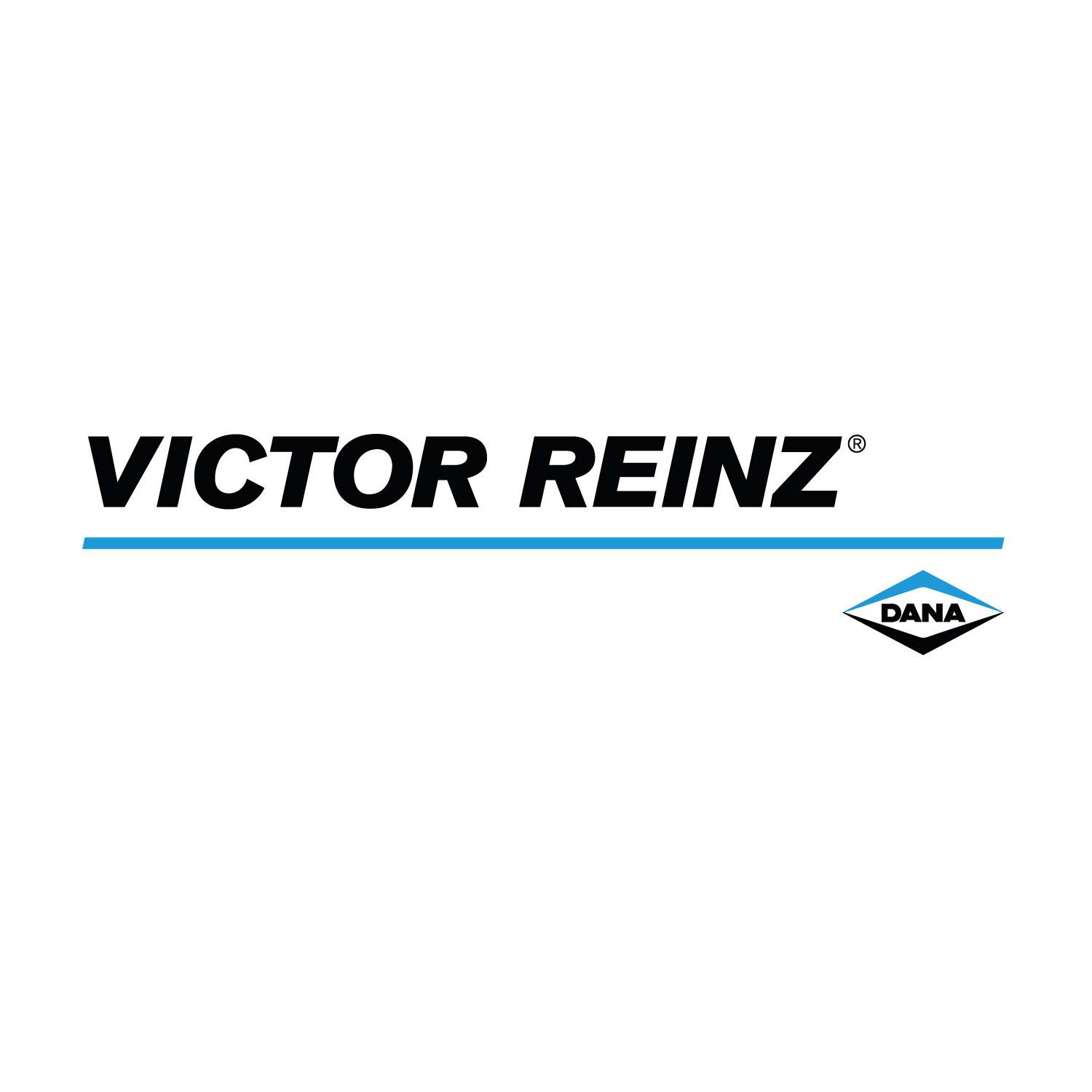 logo Victor Reinz